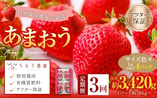 【3回定期便】 うるう農園のあまおう サイズ色々4パック （計約1140g） 【2027年2月上旬～4月下旬発送予定】 あまおう いちご 苺 果物 フルーツ 定期便 冷蔵 福岡県 太宰府