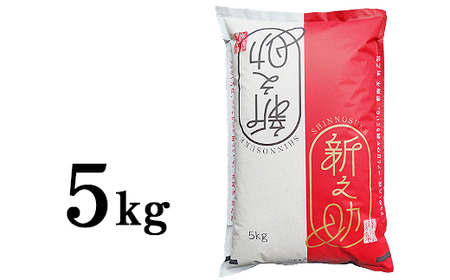 48-7S051A新潟県長岡産「新之助」5kg