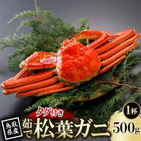 【先行予約】鳥取県産 タグ付き 茹 松葉がに 500g×1杯(中村商店)2027年1月末より順次発送【配送不可地域：離島・北海道・沖縄県・東北・信越、北陸】【1692929】