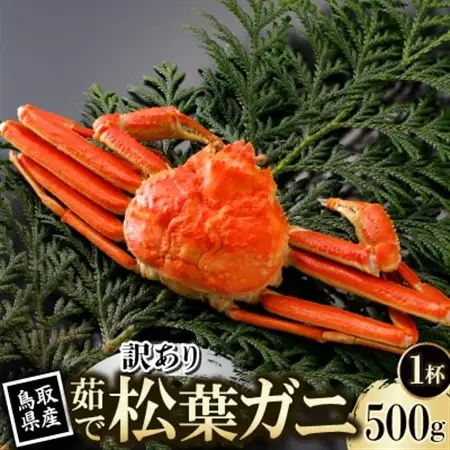 【先行予約】鳥取県産 訳あり 茹 松葉がに 500g×1杯(中村商店)2027年1月末より順次発送【配送不可地域：離島・北海道・沖縄県・東北・信越、北陸】【1692938】