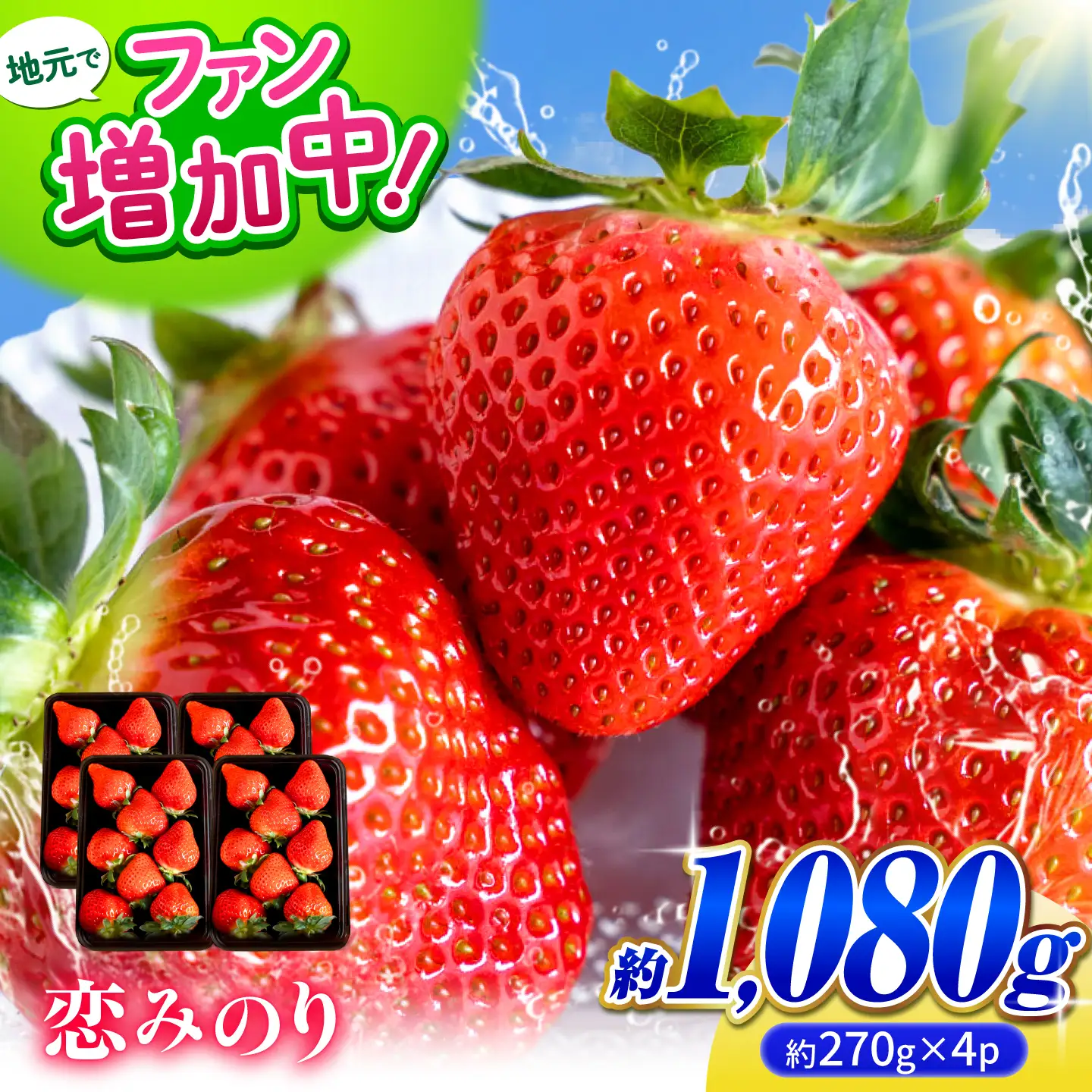 【先行予約】 いちご 恋みのり約1080g(約270g/6〜11粒×4p) 熊本いちご苺イチゴZFO006