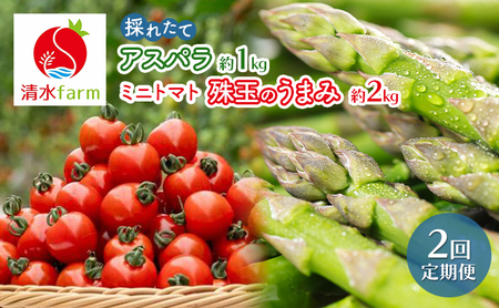 アスパラミニトマト 富良野産【 アスパラ 約1kg トマト 約2kg】【定期便2回】殊玉のうまみ