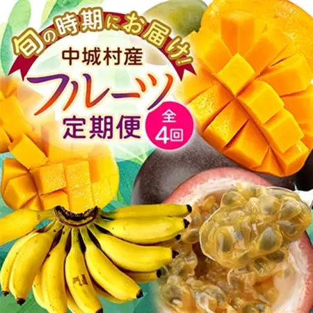 【発送月固定定期便】JAおきなわ厳選!季節の南国フルーツ全4回【配送不可地域：離島】【4079625】