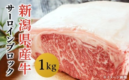 76-69B新潟県産牛（長岡産）サーロイン1kgブロック