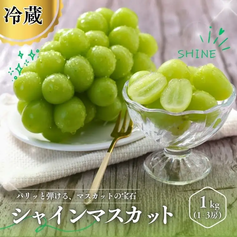 MS30 ぶどう シャインマスカット（長野県産秀品） 約1kg / 2026年9月下旬～11月上旬頃 配送予定 // 種なし 皮ごと 葡萄 ブドウ ぶどう 長野県 南信州 シャイン マスカット 大粒 甘い 葡萄 人気 新鮮