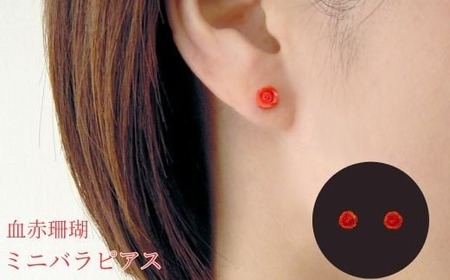 【 サンゴ ピアス 】 珊瑚 ミニバラ ピアス