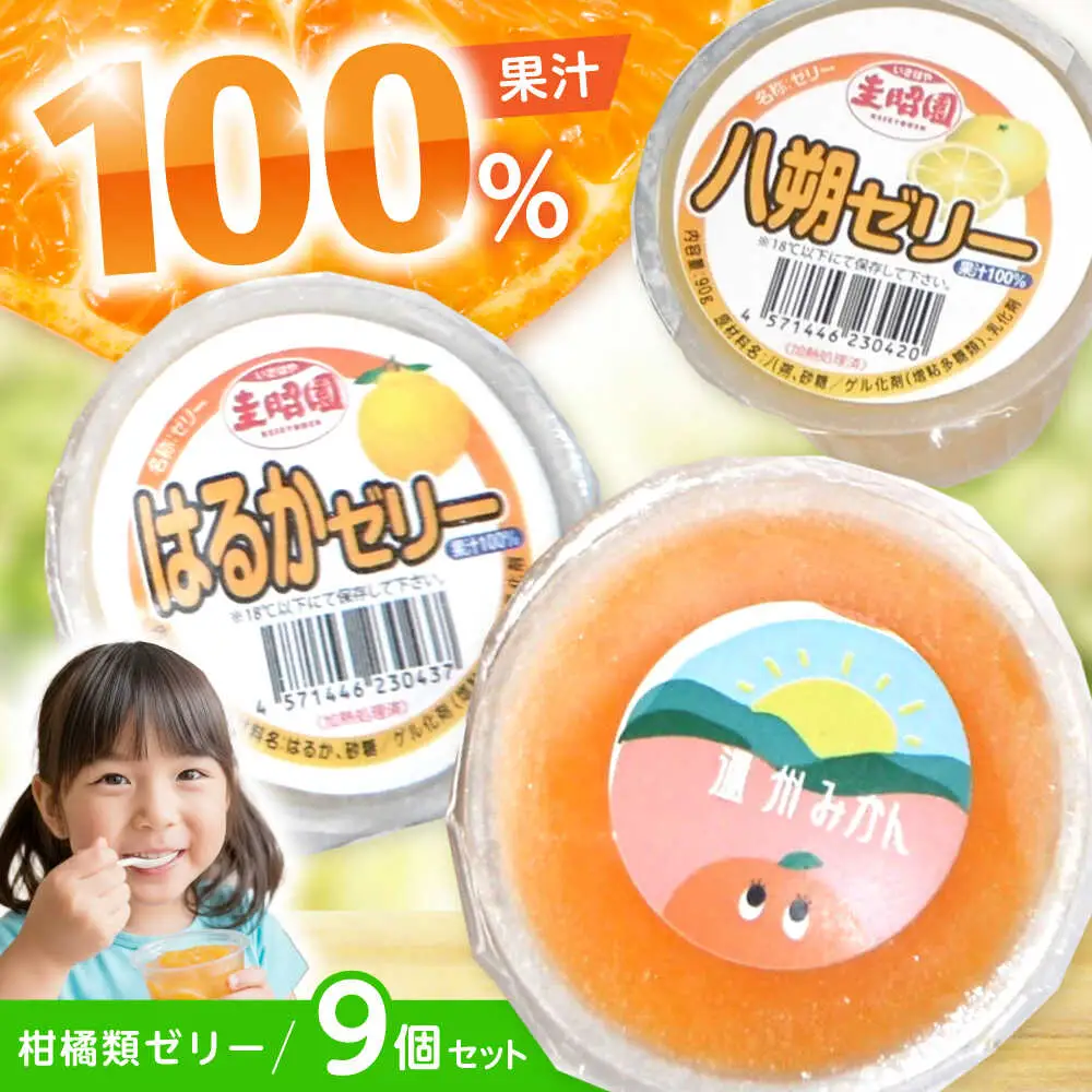 柑橘スムージーゼリー (3個×3種) 9個セット / ゼリー ぜりー 果汁ゼリー 柑橘 八朔 温州みかん はるか / 諫早市 / 圭昭園　[AHAZ012]
