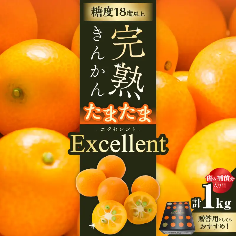 糖度18度以上!! 完熟きんかん たまたま エクセレント 計1kg 傷み補償分入り_D134-26