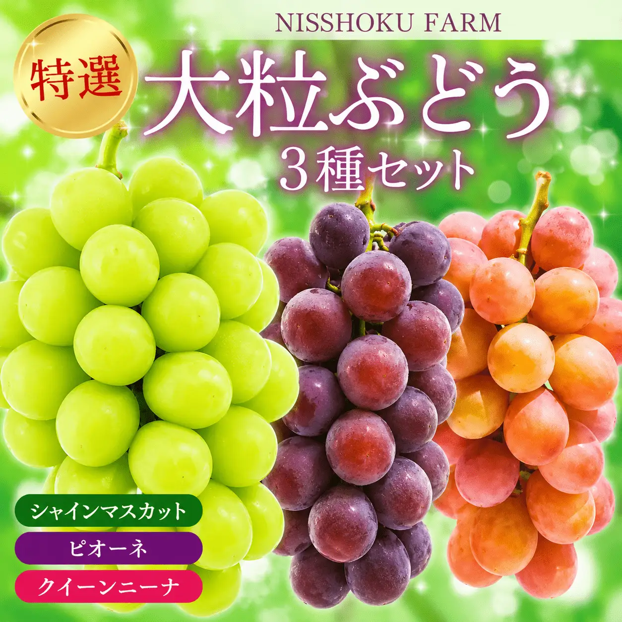 【2026年先行予約】【発送月固定全4回定期便】９月～12月 大粒ぶどうの詰め合わせ全3回【nisfarm023-01】