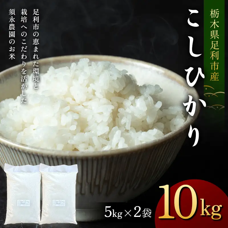 令和7年産 栃木県足利市産 コシヒカリ10kg〈5kg×2袋〉 精米 白米 米 こめ ごはん 食品 栃木県 足利市  F7Z-1972