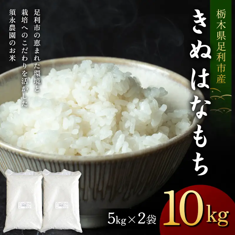 令和7年産 もち米 栃木県足利市産 きぬはなもち10kg〈5kg×2袋〉 もち米 餅 米 こめ  食品 栃木県 足利市  F7Z-1978