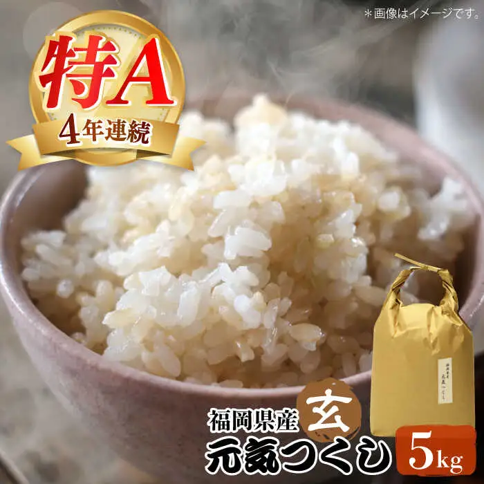 米 【特A】「元気つくし」5kg×1袋 [5kg] [玄米] [ABDF202] 令和7年産 米 ご飯 ごはん こめ コメ おにぎり