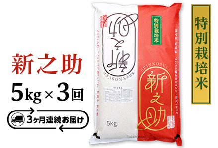 B7-ST053C【3ヶ月連続お届け】長岡産新之助5kg（特別栽培米）