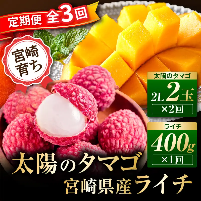 定期便 太陽のタマゴ ライチ 定期便[全3回 2027年発送先行予約 数量・期間限定]
