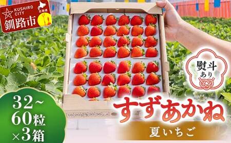 ＜無地熨斗あり＞ 2026年先行予約 北海道産いちご すずあかね 32～60粒×3箱【2026年 6月末 から順次発送】 夏いちご イチゴ 苺 フルーツ 果物 ジャム スイーツ 贈答用 ギフト 国産 北海道 釧路市 F5F-0108