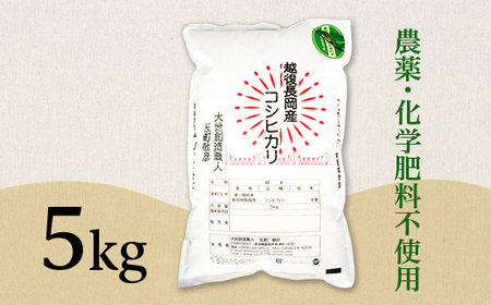 E1-S051B新潟県産米コシヒカリ5kg