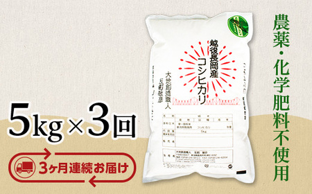 E1-S053B【3ヶ月連続お届け】新潟県産米コシヒカリ5kg