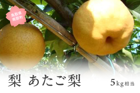 あたご梨（5kg箱） 2026年11月出荷予定 ＜数量限定＞