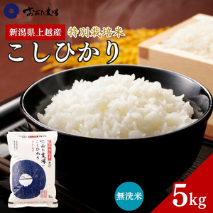 令和7年産 新潟県上越産 特別栽培米 コシヒカリ 【無洗米】 5kg 5キロ 従来品種 こしひかり おおた農場 上越市