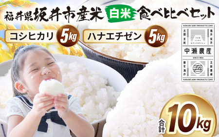 先行予約 【令和8年産・新米】 坂井市産 お米 食べ比べセット 白米 10kg (5kg×各1袋) コシヒカリ ハナエチゼン 2026年10月以降順次発送予定 精米 おこめ [B-20504]