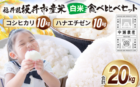 先行予約 【令和8年産・新米】 坂井市産 お米 食べ比べセット 白米 20kg (5kg×4袋) コシヒカリ ハナエチゼン 2026年10月以降順次発送予定 精米 おこめ [D-20502]