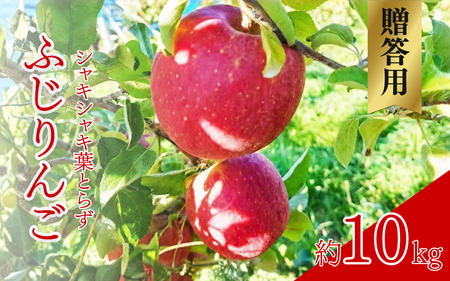 【2026年産】 シャキシャキ葉とらず ふじりんご 約10kg 特別栽培農産物 長野県産 りんご リンゴ フルーツ 果物 おやつ デザート 信州 上田 贈答用