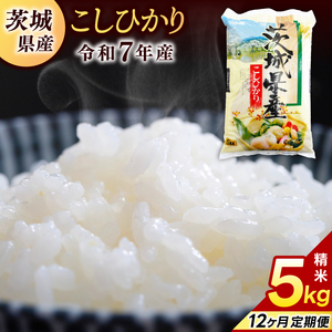 【12ヶ月定期便】コシヒカリ 5kg (総計 60kg)【令和7年産】米 精米 白米 （KY-22）