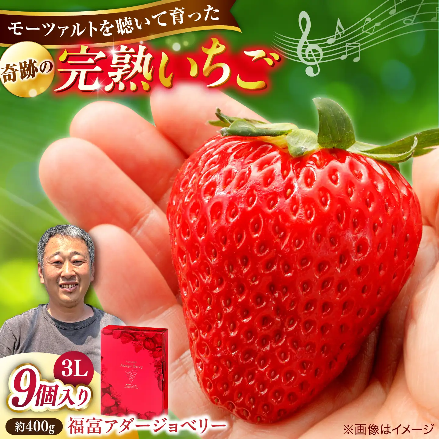 島根県産 いちご400g 苺[ALFI002] 3Lサイズ9個入り