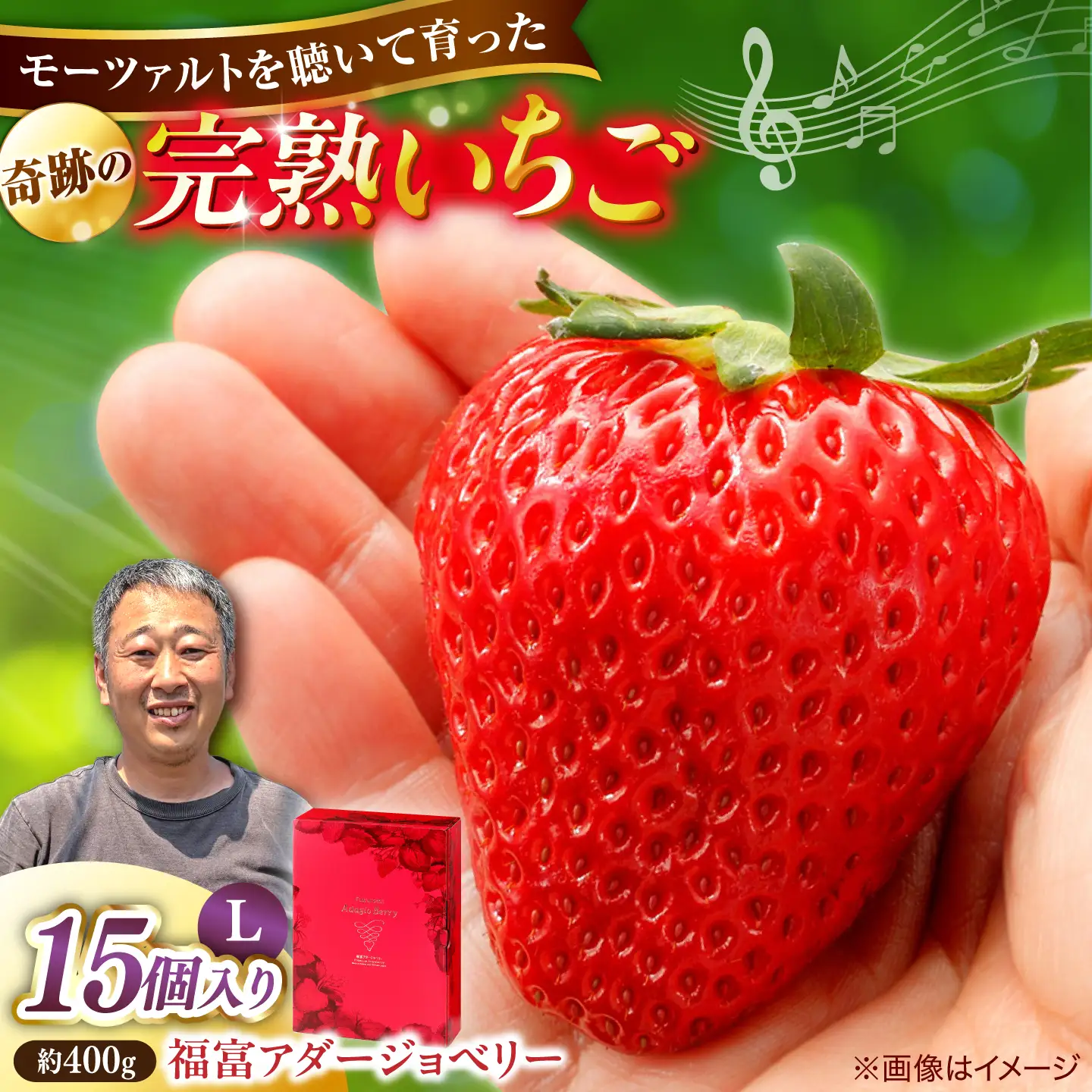 島根県産 いちご400g 苺[ALFI004] Lサイズ15個入り