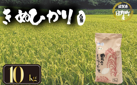 【 令和7年産 米 10kg 】 きぬひかり 白米
