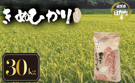 【 令和7年産 米 30kg 】 きぬひかり 玄米