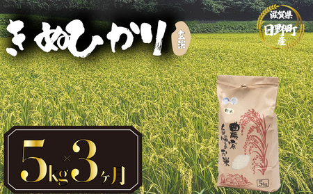 【令和7年産】 米 玄米 5kg 定期便 3ヶ月 きぬひかり