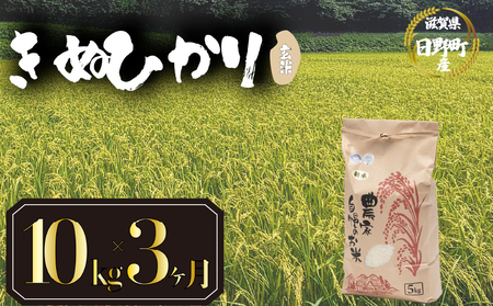 【令和7年産】 米 玄米 10kg 定期便 3ヶ月 きぬひかり