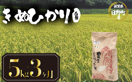 【令和7年産】 米 白米 5kg 定期便 3ヶ月 きぬひかり