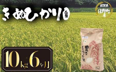 【先行予約】令和8年産 きぬひかり 10kg 定期便 6ヶ月 白米 米 