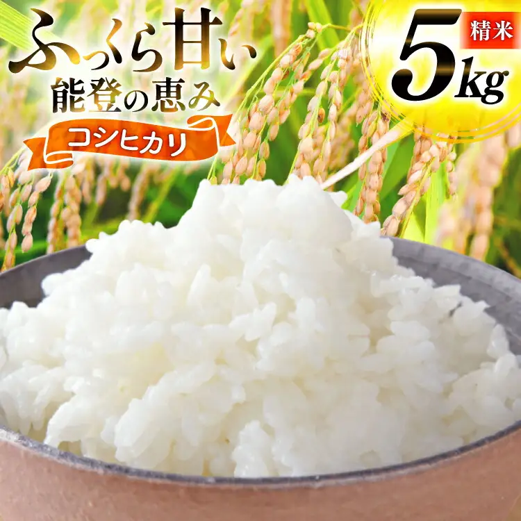 米 令和7年産 コシヒカリ 精米 5kg