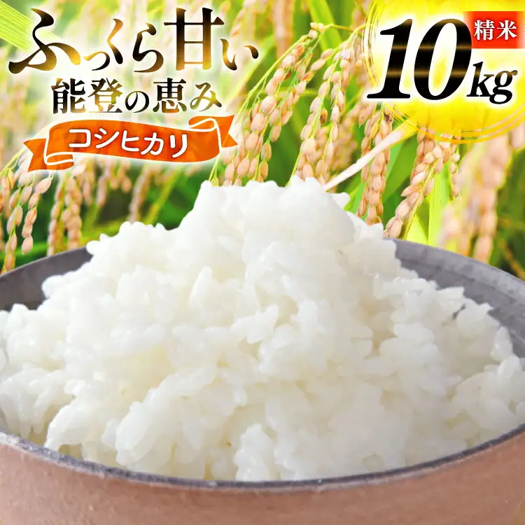 米 令和7年産 コシヒカリ 精米 10kg