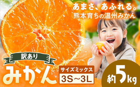 訳あり 温州みかん サイズミックス 3S ～ 3L 約5kg 日本フルーツ株式会社《10月中旬-2月下旬頃出荷》熊本県 荒尾市 みかん 温州みかん ミカン 蜜柑 柑橘類 訳あり ご家庭用 サイズ不揃い 果物 フルーツ