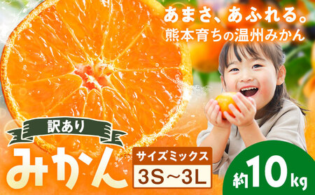 訳あり 温州みかん サイズミックス 3S ～ 3L 約10kg 日本フルーツ株式会社《10月中旬-2月下旬頃出荷》熊本県 荒尾市 みかん 温州みかん ミカン 蜜柑 柑橘類 訳あり ご家庭用 サイズ不揃い 果物 フルーツ