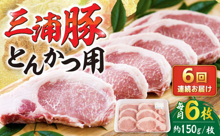 【6回定期便】 三浦豚 豚肉 ロース900ｇ（ステーキ / 恵那市 / あづま精肉店 [AUDL010]