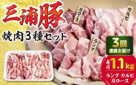 【3回定期便】 豪華 三浦豚 1.1kg 焼肉セット 肩ロース カルビ ランプ / 恵那市 / あづま精肉店 [AUDL018]