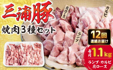 【12回定期便】 豪華 三浦豚 1.1kg 焼肉セット 肩ロース カルビ ランプ / 恵那市 / あづま精肉店 [AUDL020]