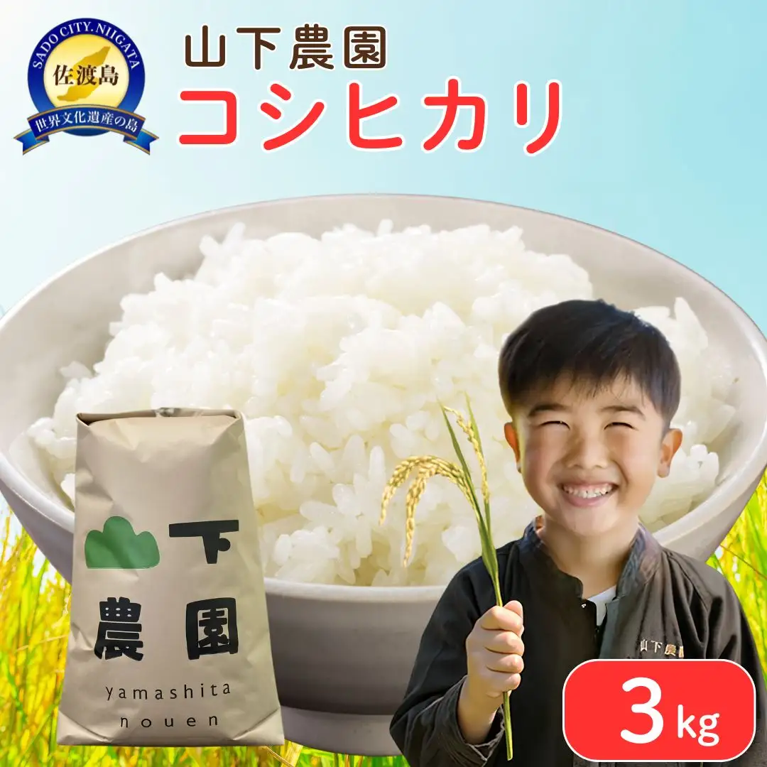 コシヒカリ 精米 3kg 山下農園 | 新潟県 佐渡市 コシヒカリ
