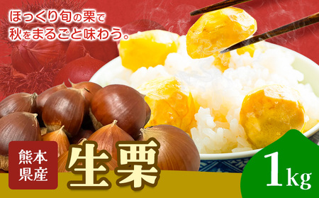 栗 生栗 1kg とくちゃん農園《2026年9月上旬-10月上旬頃出荷予定》