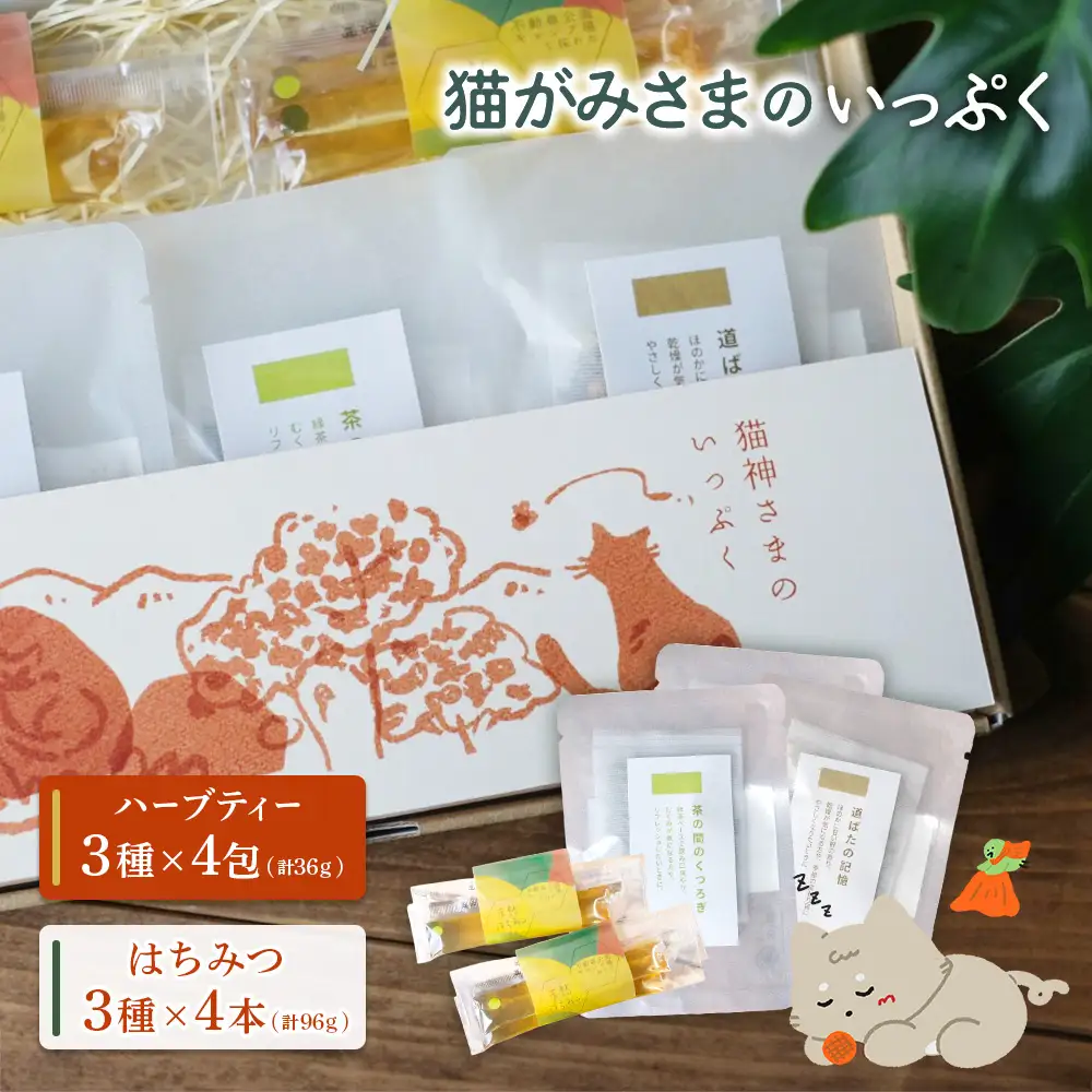 猫がみさまのいっぷく【56001】