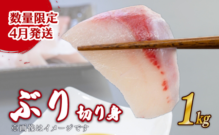 【ぶり】 ぶり切り身 1kg 【2026年4月発送】