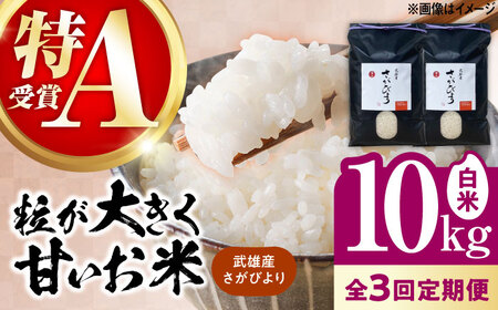 【3回定期便】さがびより 白米 10kg /株式会社 y's company（utsu和ya）[UDX026] 定期