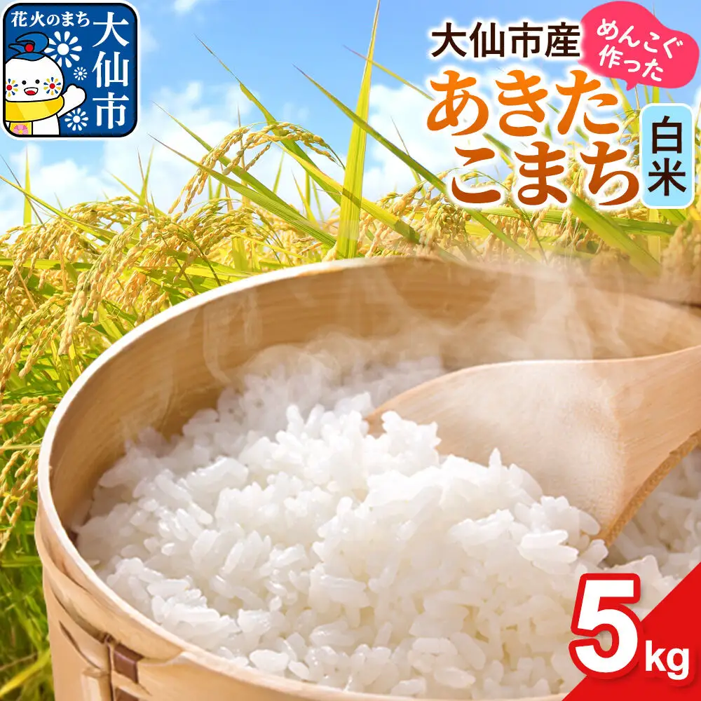米 あきたこまち 白米 5kg 秋田県 大仙市 伊藤精米店
