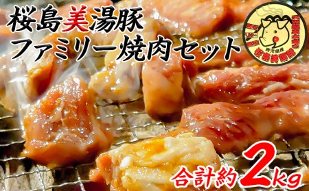 B2-4506／桜島美湯豚　ファミリー焼肉セット