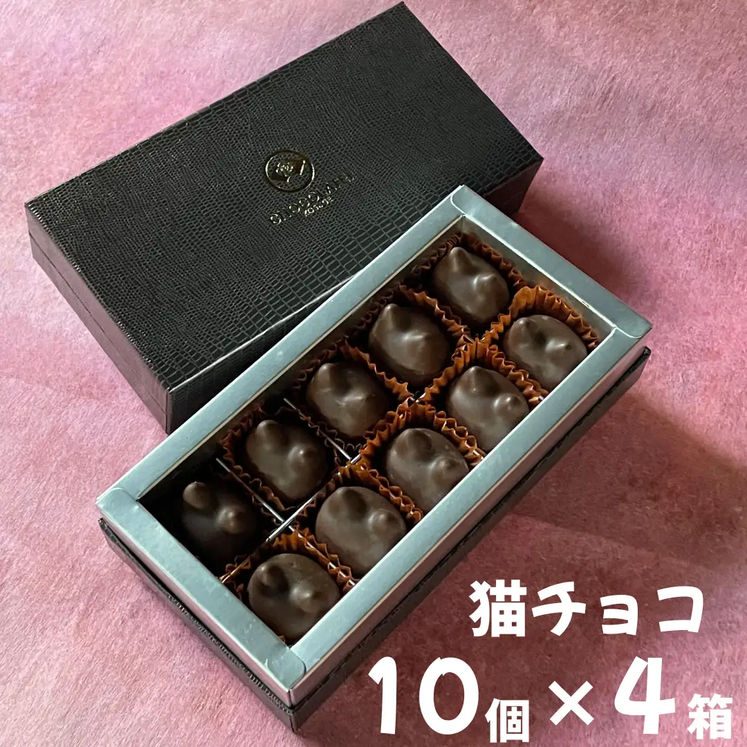 しょこら亭 猫チョコ（jomon）10個入×4セット お菓子 菓子 スイーツ チョコレート 贈答 1Z37070